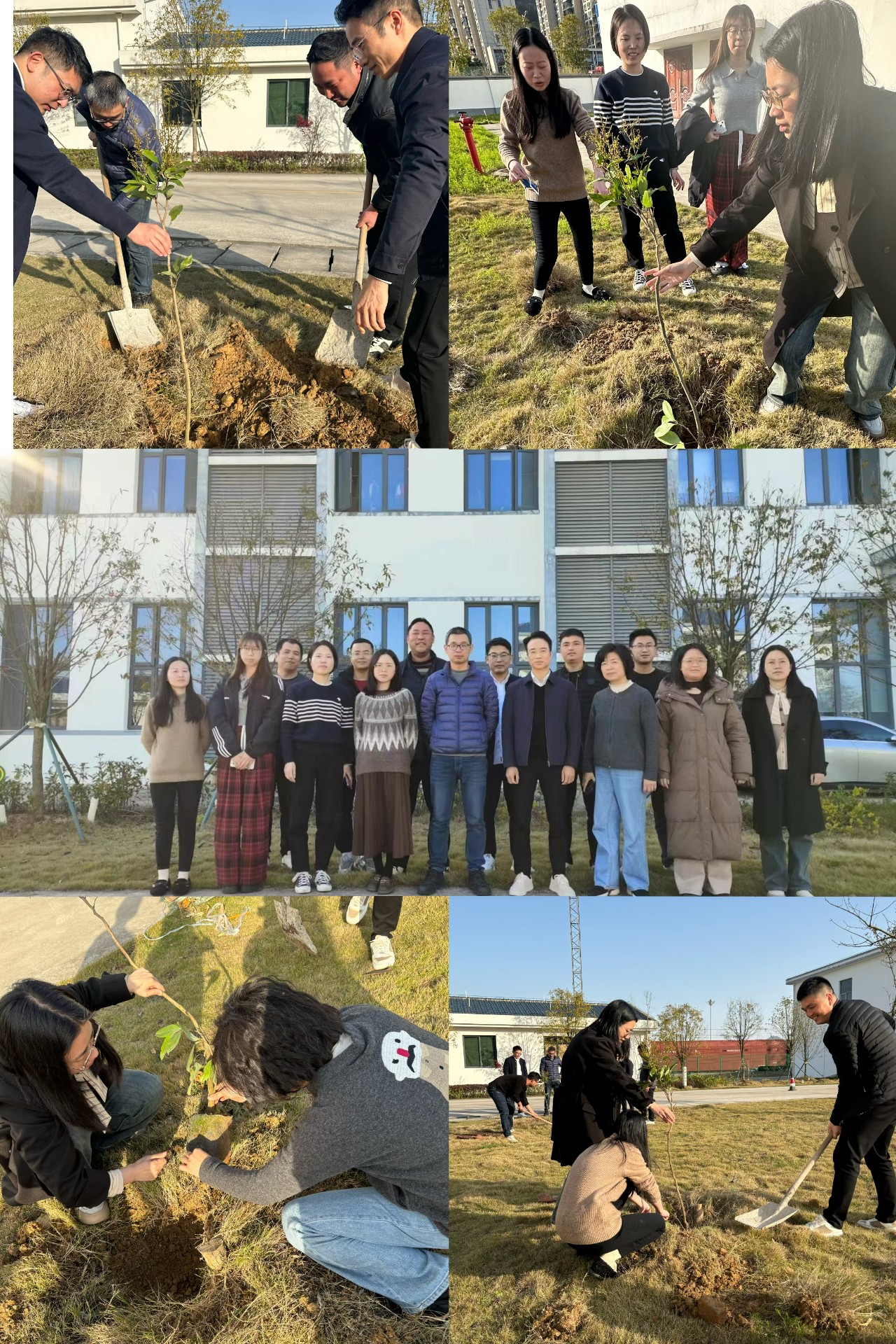 2024-3-12綠色陸港，美麗寧德，阮克妙拍攝.jpg